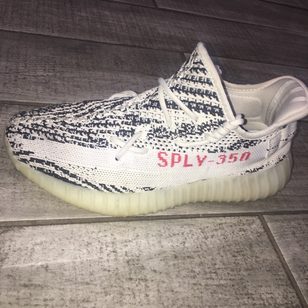 Yezzys zebras